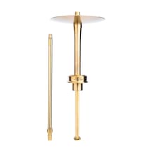 Mr Eds E24 Big Boss Rs Gold - Titanyum Serisi