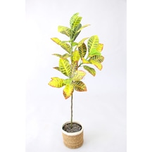 Yapay Ağac Saksıda Kraton Bitkisi 3 Dallı 105 Cm Hasır Saksılı
