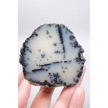 Krem Ve Beyaz Renkli Merlinit - Krem Dendritik Opal İle Jet-siyah Ağaç İçerikler