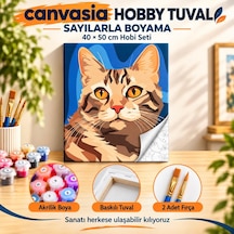 Sayılarla Boyama Numaralı Tuval Seti Boya Fırça Dahil 40x50 Cm Kedi Portresi