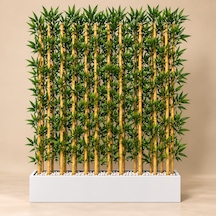 100+50 Cm Saksıda 22 Adet 200 Cm Bambu Sparator Çok Renkli