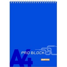 Gıpta Pro-block Spiralli Bloknot A4 Kareli 40 Yaprak 1398