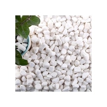 Ayrex Ekodoğa Dolomit Taş 5 Kg 1 2 Cm Beyaz Saksı Dibi Dekoratif Teraryum Taşı Bahçe 101 X 200 Diğer