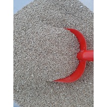 Mh Sade Kanarya Yemi Kaliteli Açık 2 KG