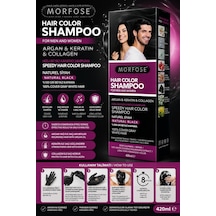 Hair Color Shampoo Natural Black 420 Ml Hızlı Beyaz Kapatıcı Saç Boyama Şampuanı Argan Keratin Collagen