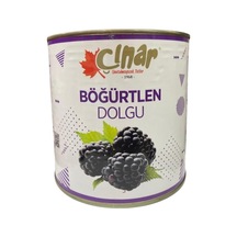 Çınar Böğürtlen Dolgu 2700 G