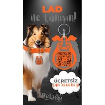 Petjoo 23.Lad Gri-Turuncu Qr'lı Köpek Künyesi