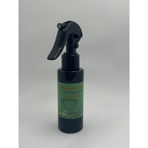 Dupnisa Sprey Oda Ve Araç Kokusu İlkbahar 100 ML