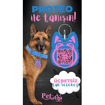 Petjoo 24.Proteo Pembe-Mavi Qr'lı Köpek Künyesi