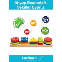 Özel Üretim Zeka Geliştirici Eğitici Kişisel Gelişim Çocuk Ahşap Geometrik Şekiller Oyunu