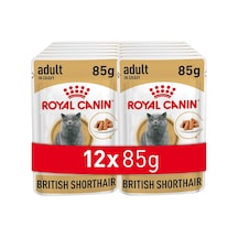 Royal Canin British Shorthair Konserve 85 Gr X 12 Adet