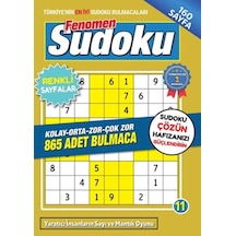 Fenomen Sudoku 11 Diğer