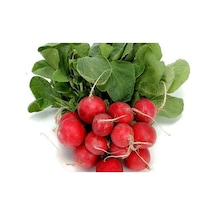 Doğal Cherry Turp Tohumu