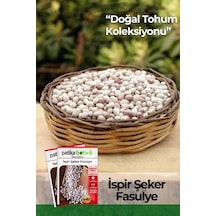 50 Adet İspir Şeker Fasulye Tohumu