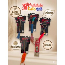 Kedim İçin Matatabi Stick Ve Matatabi Oyuncak Seti 5 Parça