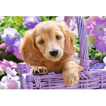 Castorland 1000 Parça Puzzle Puppy İn Basket