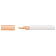Pilot Pintor F, Pastel Turuncu