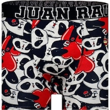 Desenli Boxer - Panda