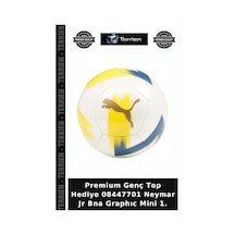 Premium Genç Top Hediye 08447701 Neymar Jr Bna Graphıc Mini 1. Çok Renkli