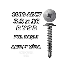 3.9 x 16 MM