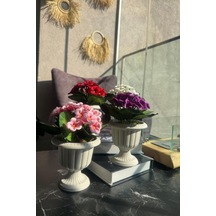 4lü Set Yapay Çiçek Krem Antik Saksıda Karışık Renk Kadife Menekşe Gerçekçi Doku 22cm