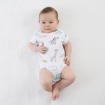 Owlishop Owli Bebek Body 3'Lü Set Zoo Zoo