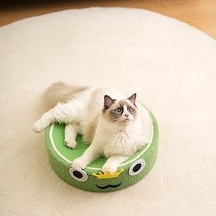 Raikou Kedi Tırmalama Alanı Kedi Oyun Alanı