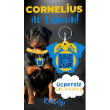 Petjoo 20.Cornelius Mavi-Sarı Qr'lı Köpek Künyesi