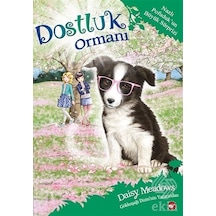 Nazlı Pofuduk'un Büyük Sürprizi-Dostluk Ormanı 10 - Daisy Meadows - Beyaz Balina Yayınları