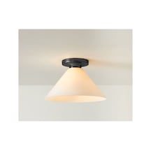 Opal Camlı Plofonyer Tavan Avize Aramtür Beyaz Camlı Cap 22 Cm Siyah