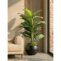 Yapay Difenbahya Ağacı 120 Cm 27x33 Cm Siyah Küre Saksı Beyaz