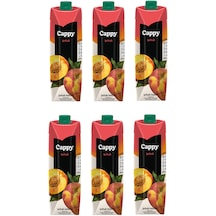 Cappy Şeftali Nektarı 1 Lt X 6 Adet