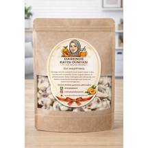 Fildişi Çikolatalı Kayısı Çekirdeği Krokan Cimix 500 Gr