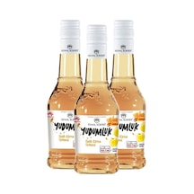 Kemal Kükrer Yudumluk Ballı Elma Sirkesi 3 x 500 ML