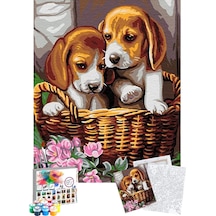 Sayılarla Boyama Seti 40 x 50 CM Tuval Şasesine Gerili Yavru Köpekler