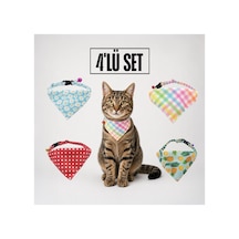 Desenli Bandana Kedi Tasması 4'lü Tam Set