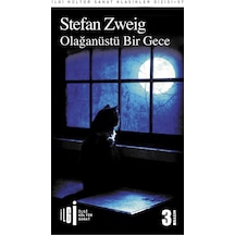 Olağanüstü Bir Gece - Stefan Zweig - İlgi Kültür Sanat Yayınları