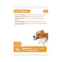 Derma H Plus/deri Ve Tüy Sağlığı Desteklyici, Dökülme Önleyici Premium Tablet/küçük Irk Köpekler İçin 60 Adet/90 Gr