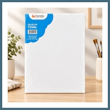 Bezos 25x35 Tuval Agc Çok Renkli