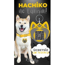 Petjoo 19.Hachiko Gri-Sarı Qr'lı Köpek Künyesi