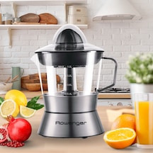 Rowenger D-8028A Elektrikli Meyve Sıkacağı