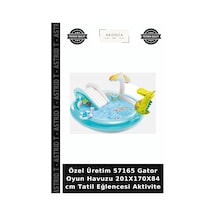 Özel Üretim 57165 Gator Oyun Havuzu 201x170x84 Cm Tatil Eğlencesi Aktivite Çok Renkli