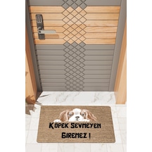 Rugmood Modern Dijtal Baskı Köpek Sevmeyen Giremez3 Kapı Önü Paspası Çok Renkli