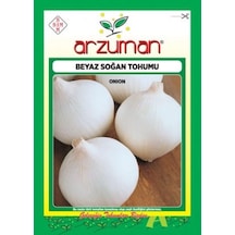 Beyaz Soğan Tohumu 1250 Tohum 5 Gram