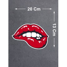 20x13 Cm