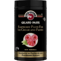 Fo Frambuazlı Dondurma Ve Pastacılık İçin Karışım 1600 G