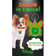 Turuncu