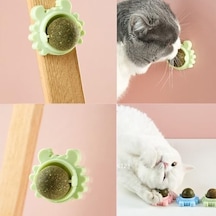 Catnipli Yenilebilir Kedi Nanesi Otu Yalama Oyun Topu Oyuncağı Yengeç