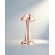 Dokunmatik Modern Bronz Mantar Masa Lambası 3 Seviyeli Led .