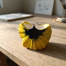 6x8 Cm